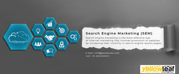 SEO Expert India
