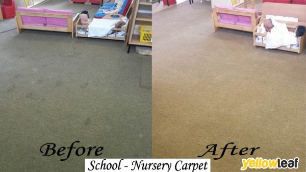 Lush Carpet Cleaning