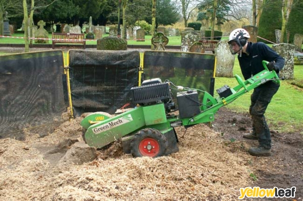 Stump Removal Services