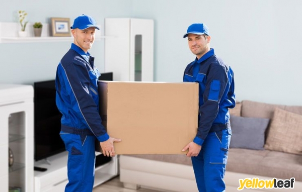 Choice removals services