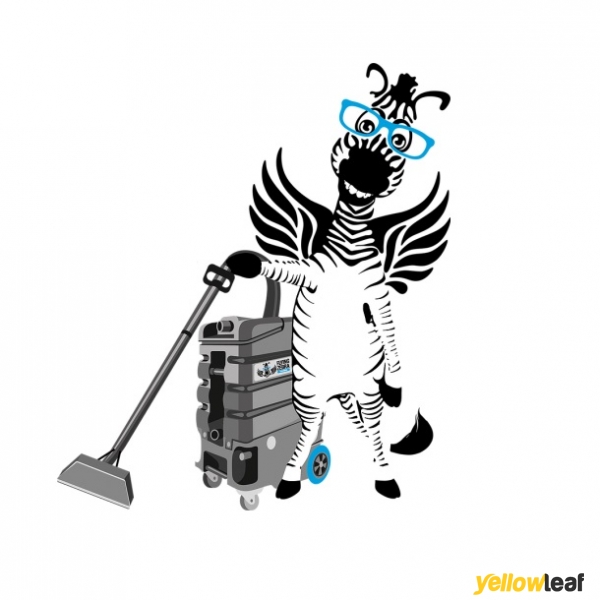 Flying Zebra Cleaning