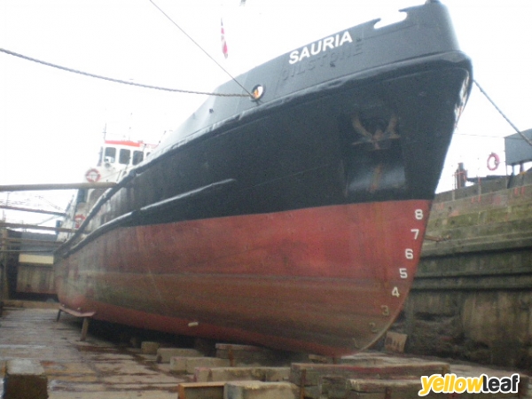 DGS Marine