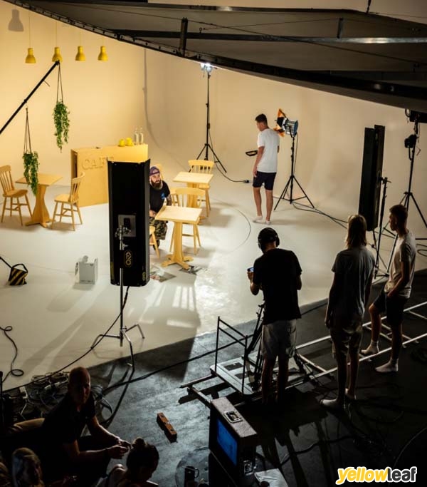 Wild Stag Studio