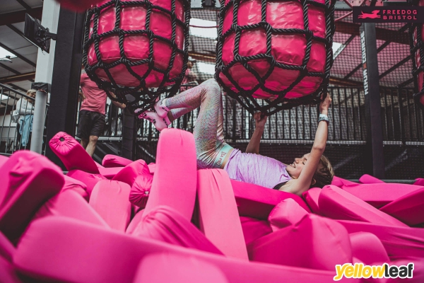 Freedog Bristol Soft Play and Trampolines