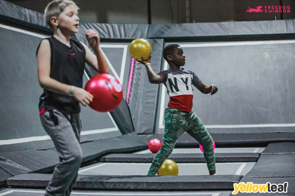 Freedog Swindon Soft Play and Indoor Activities