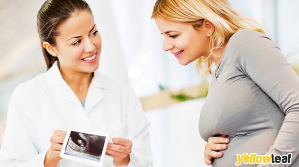 Ultrasound Plus
