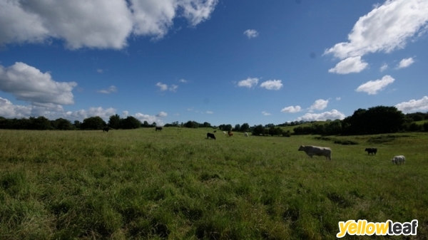 Farms For Sale Ireland
