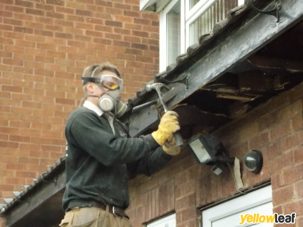 Loco Windows And Fascias