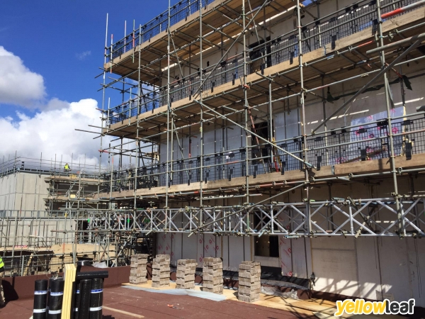 SIS Scaffolding