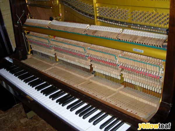 Moonlight Pianos