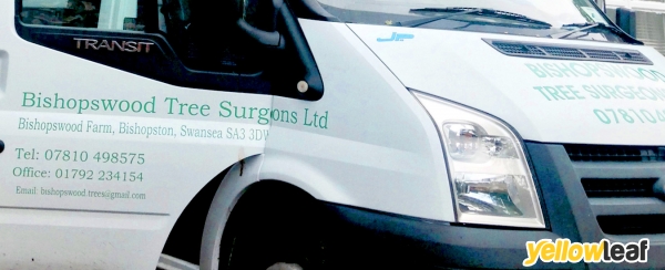 Bishopswood Tree Surgeons Ltd