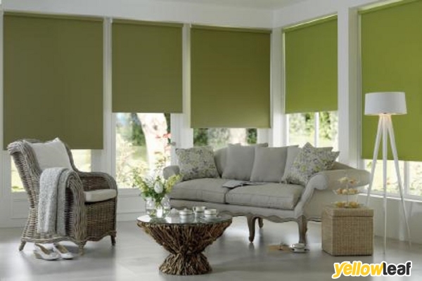 Jacksons Blinds