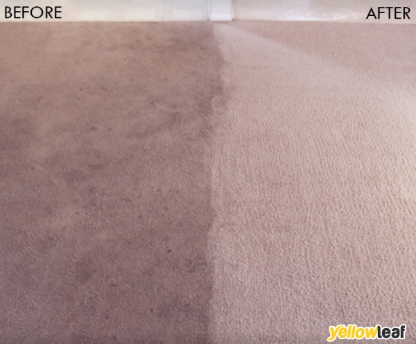 Exeter Carpet Cleaner