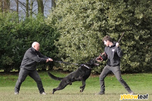 Protection Dogs TOTAL K9