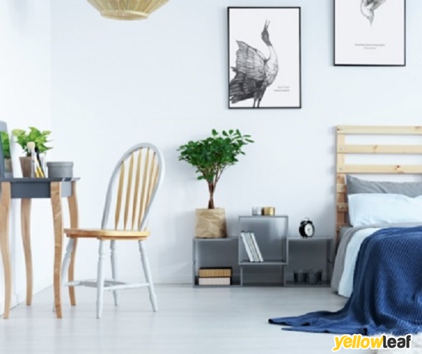 Curated Pieces