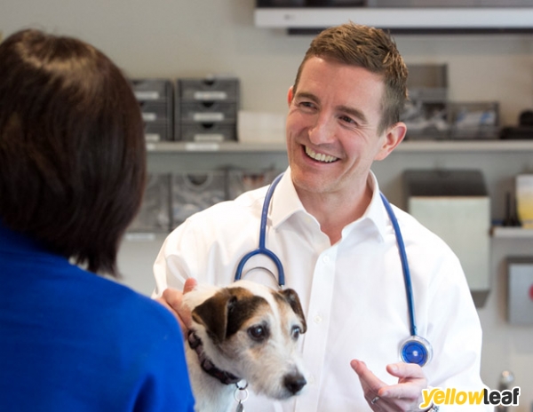 Blythwood Vets