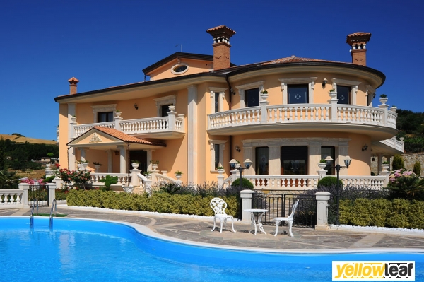 Pearl Lemon Properties