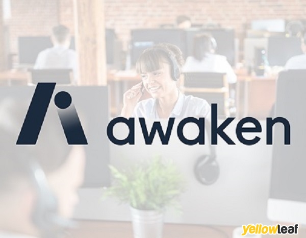 Awaken Intelligence Ltd.
