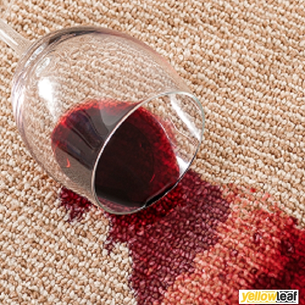 Pro Carpet Cleaning