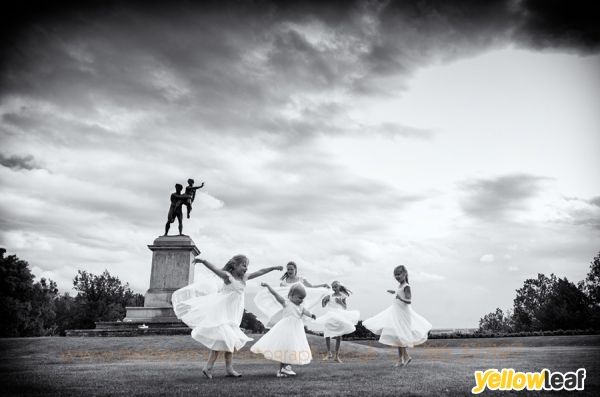 Mark Seymour Photography