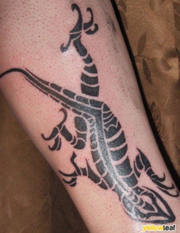 Lizard Ink. Tattoos And Body Art Wymondham