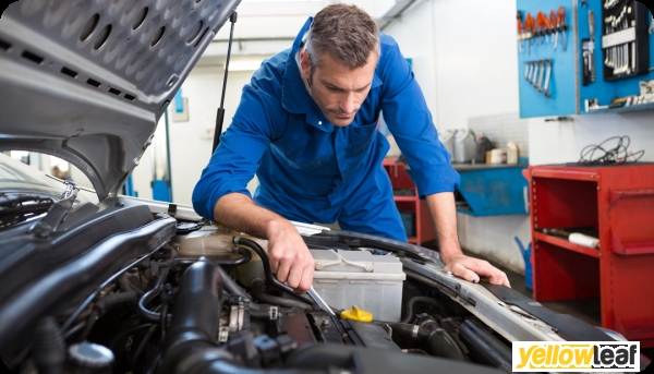 Mot Training Experts