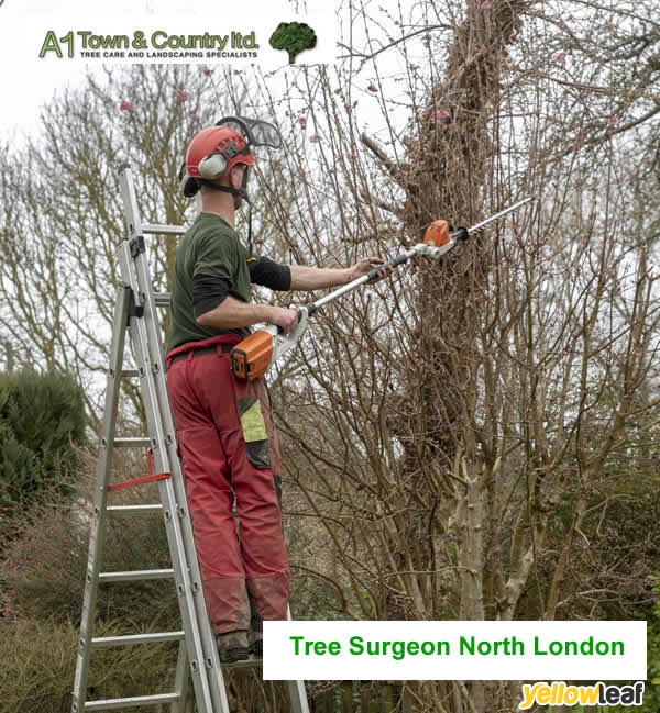 A1 Town and Country Tree Care Ltd