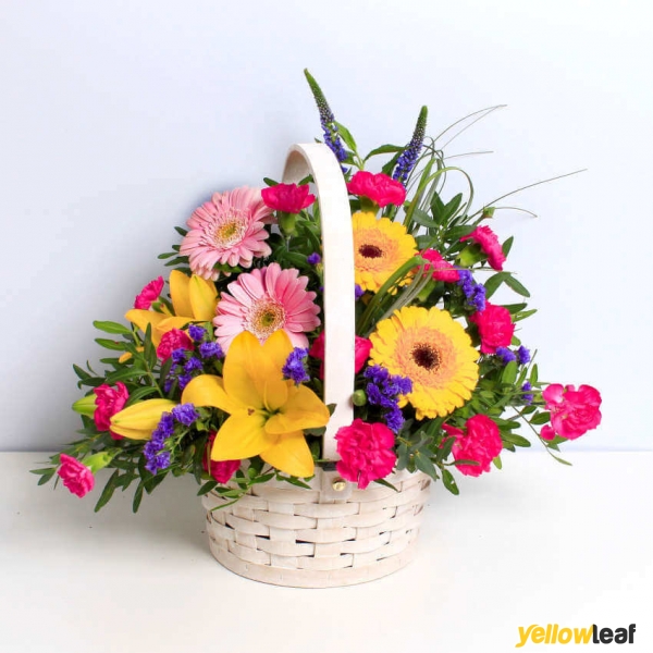 BloomLocal