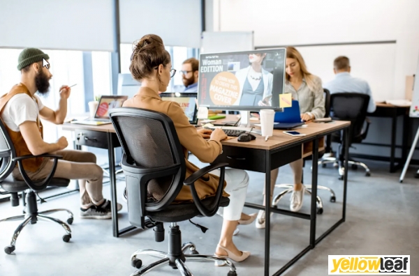 Web Designers Norfolk