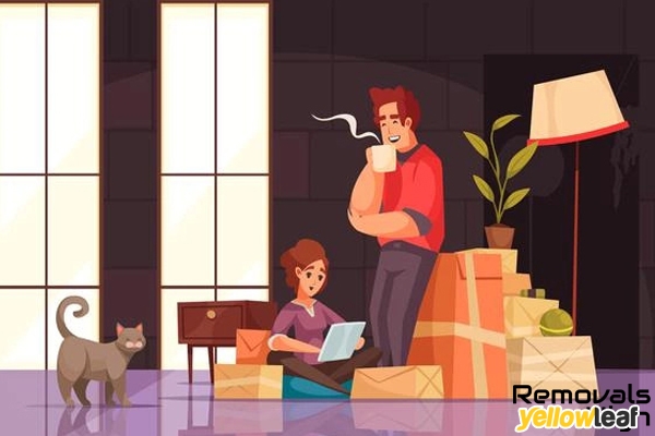 Removals High