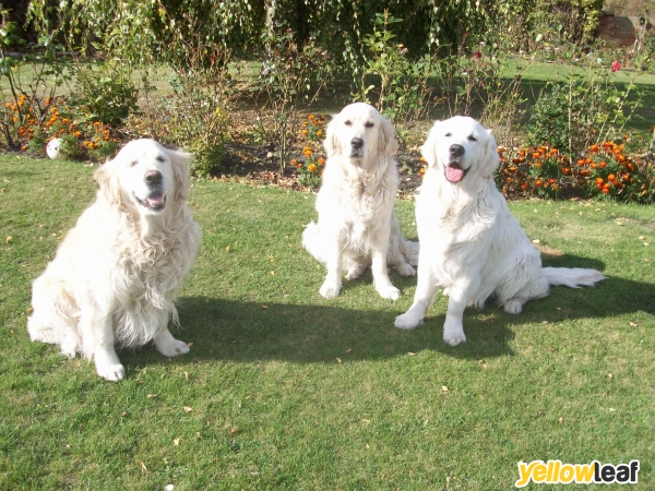 Caninecountrycottage