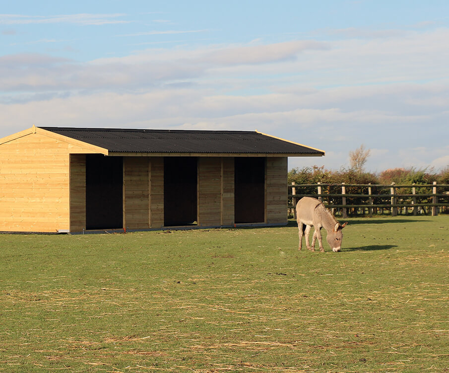 National Timber Buildings