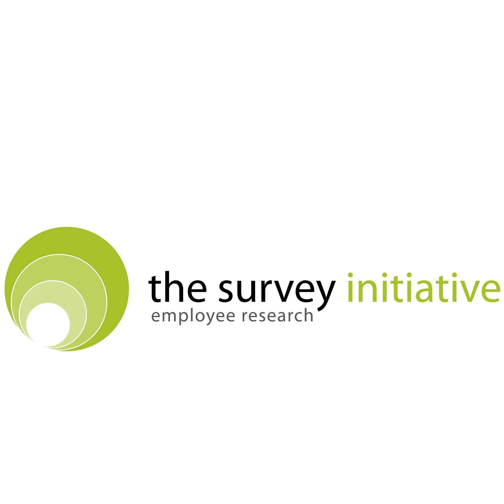 The Survey Initiative Ltd