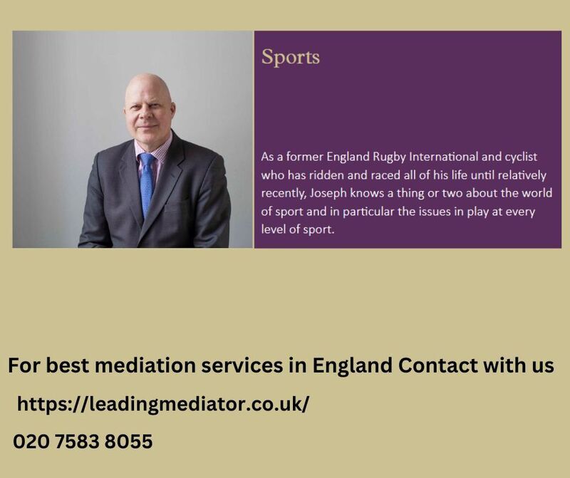 leadingmediator