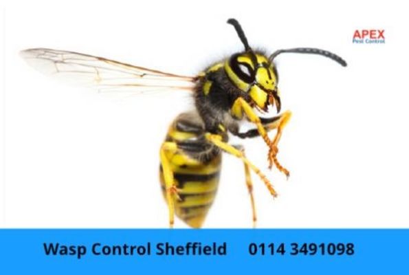 Apex Pest Control