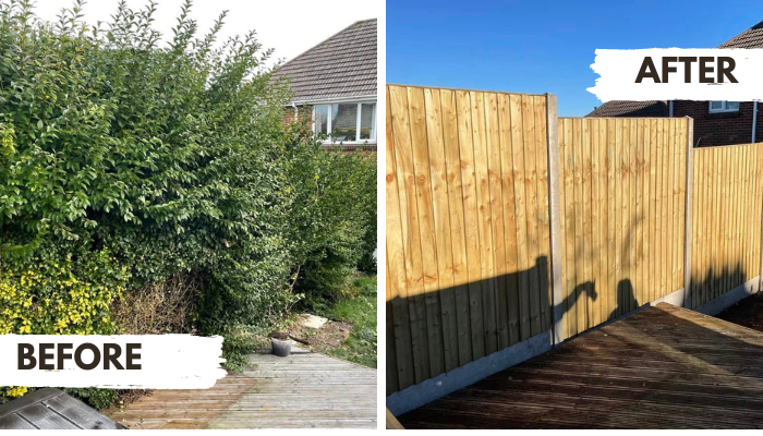 Dorset Arborists