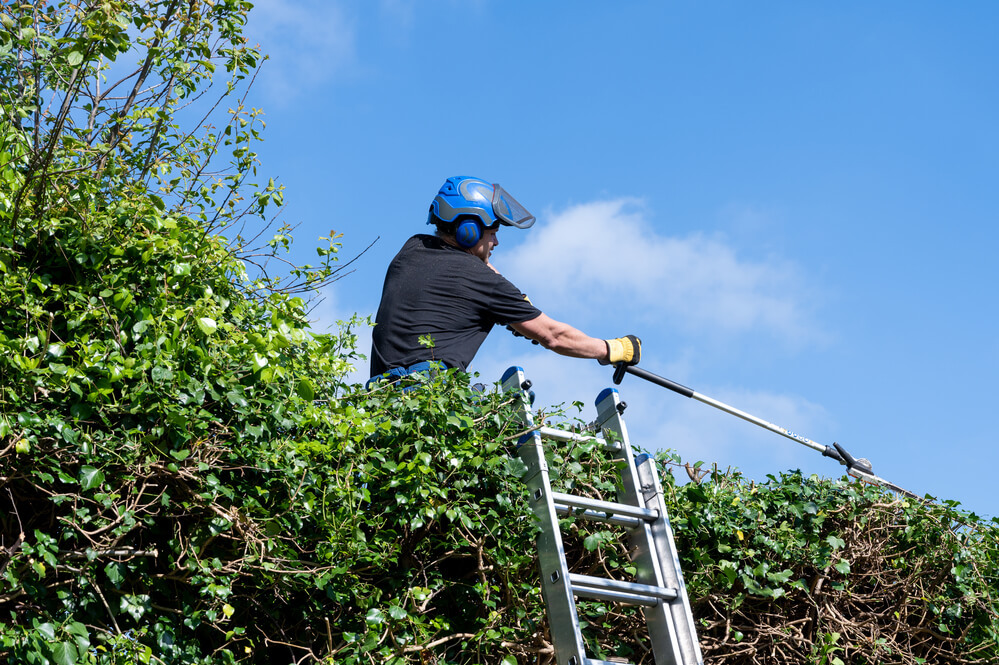 Rotherham Tree Services