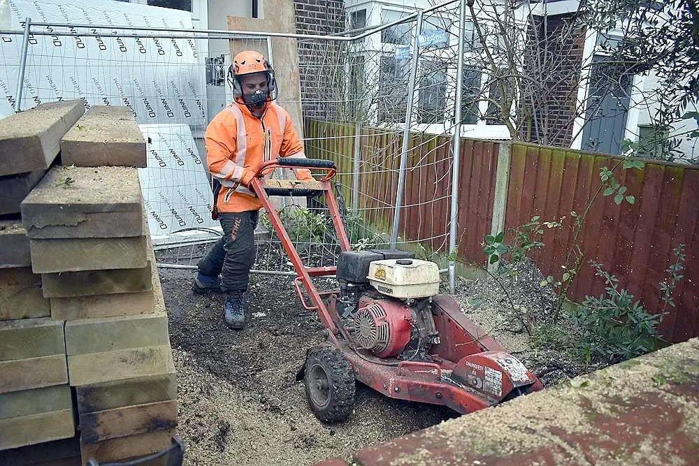 London Tree Surgeons
