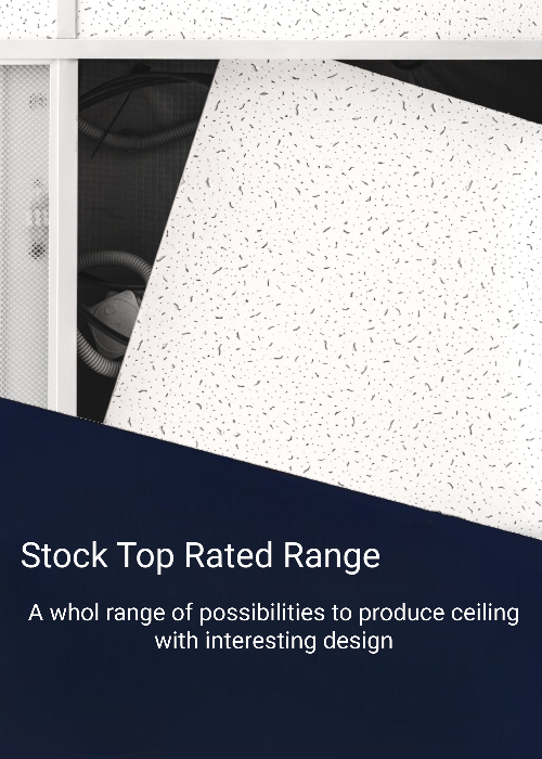Ceiling Expert Ltd