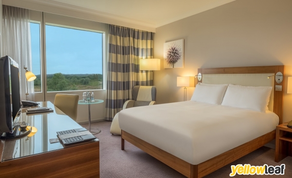 Hilton Reading