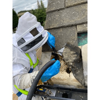 Topline Pest Control Ltd