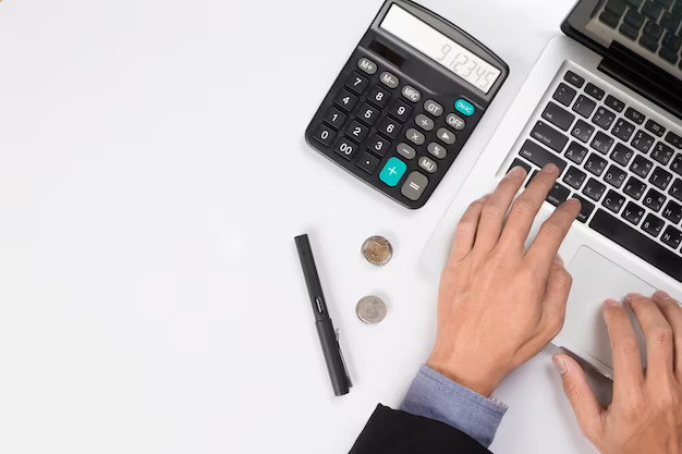 Accounting and Advisory Services-Brisk