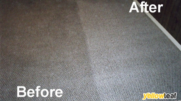 Aura Carpet Cleaning
