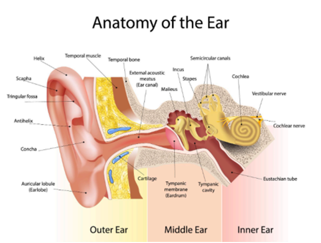 MK Ear Wax Clinic Ltd