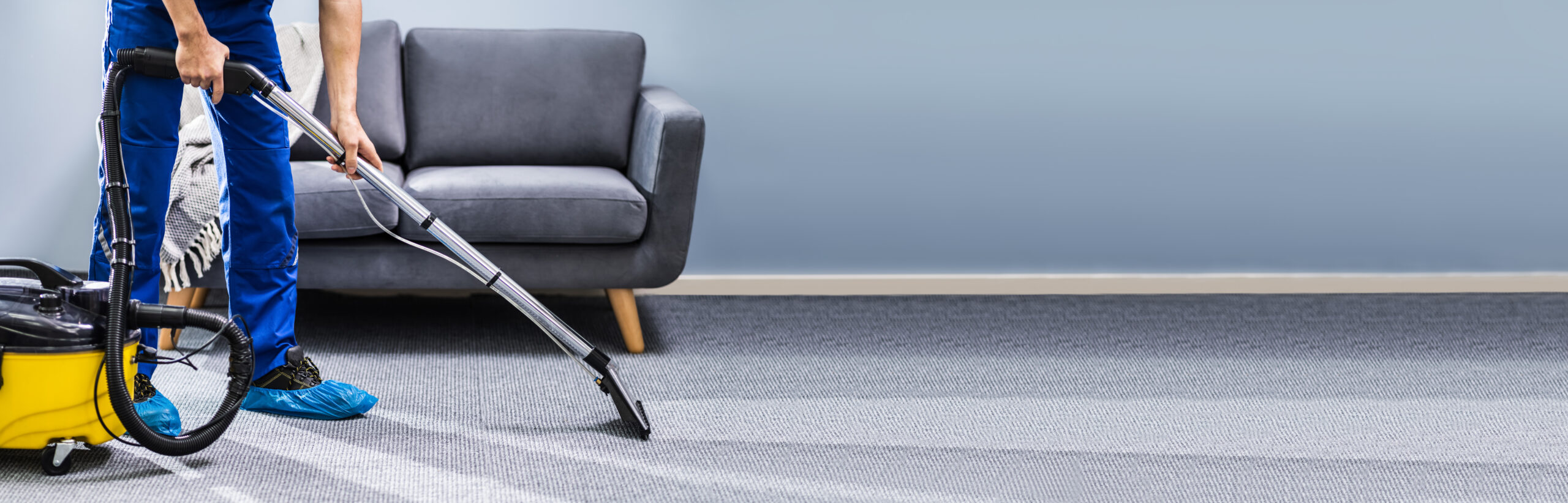 Sparkle Brighton Carpet Cleaning & Upholstery Cleaning