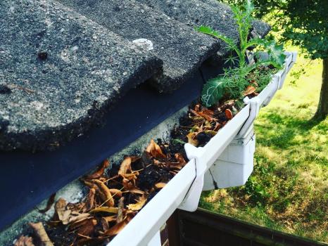 Sudell Gutter Services