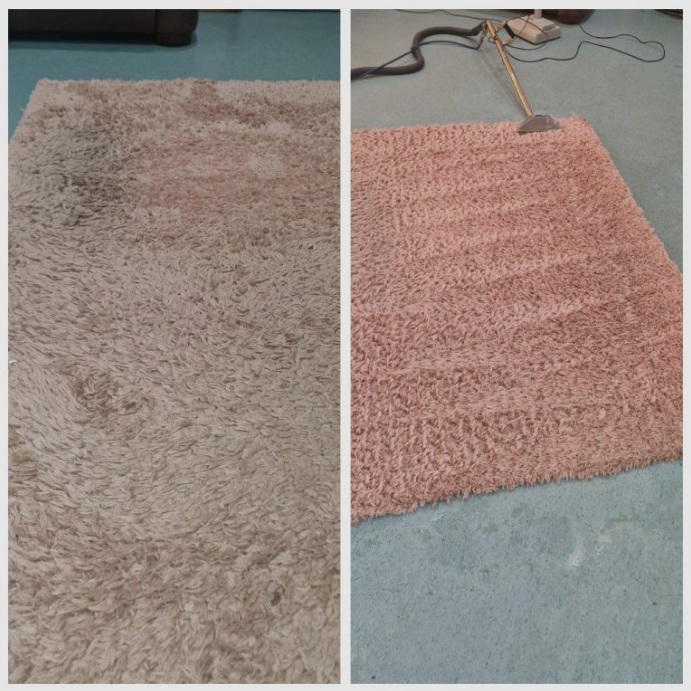 Wellbank carpet care Ltd