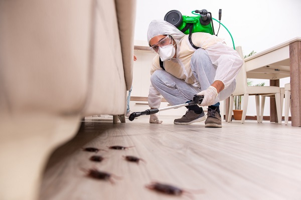 Mitchell’s Pest Control