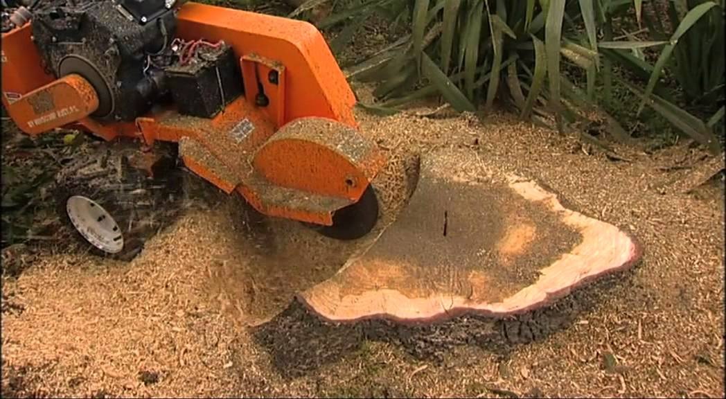 Tree Stump Removal London