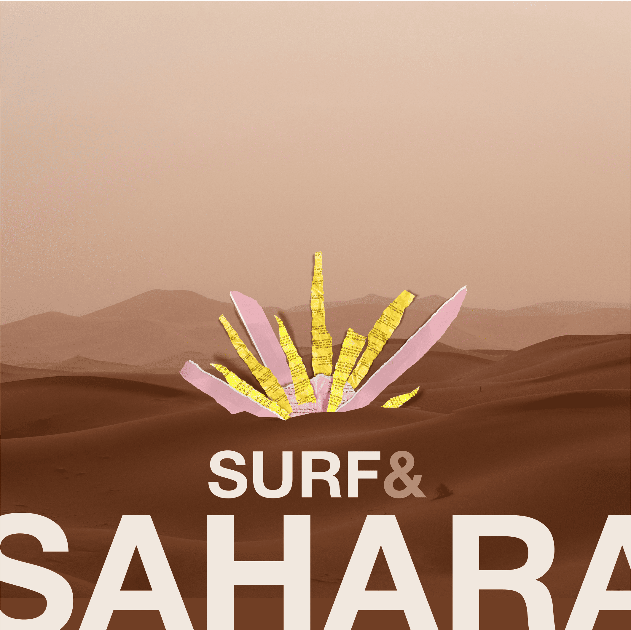 Desert Surf Camp